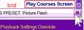 playcoursesettings01.png
